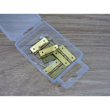 Expo 4x25mm Brass Plated Hinges with Pins A30043