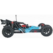 Raider 2WD Mega Brushed 1/10 RTR Buggy