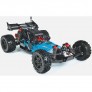 Raider 2WD Mega Brushed 1/10 RTR Buggy