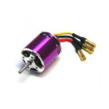 Brushless Motor C1818