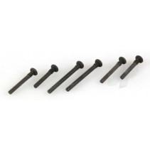 Helion HLNA0113 Hinge Pin Set,Threaded Upper Arms and Rear Outer (Dominus)