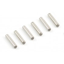 Helion Pin 6pcs 10*2 HLNA0843