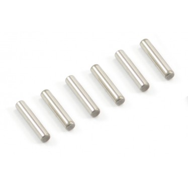 Helion Pin 6pcs 10*2 HLNA0843