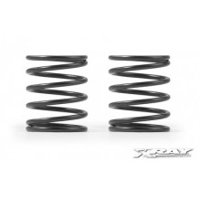 XR308275 XRAY 4S SPRING-SET C = 2.5 (2)