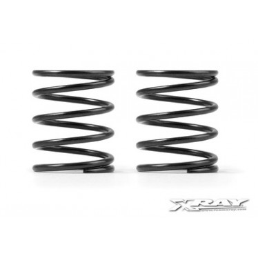 XR308277 XRAY 4S SPRING-SET C = 2.9 (2)