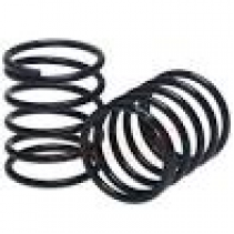 XR308286 XRAY 4S SPRING-SET C=2.6 (2)